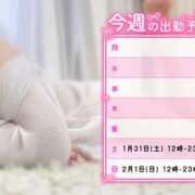 ヒメ日記 2026/01/30 12:15 投稿 すみれ ぽっちゃり巨乳素人専門店ぷにめろ八王子店