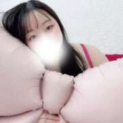 ヒメ日記 2026/02/20 13:30 投稿 すみれ ぽっちゃり巨乳素人専門店ぷにめろ八王子店