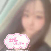 ヒメ日記 2026/04/09 12:02 投稿 すみれ ぽっちゃり巨乳素人専門店ぷにめろ八王子店