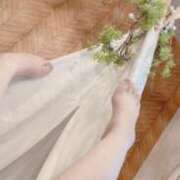 ヒメ日記 2026/05/18 16:00 投稿 すみれ ぽっちゃり巨乳素人専門店ぷにめろ八王子店