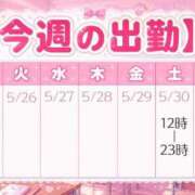 ヒメ日記 2026/05/29 11:15 投稿 すみれ ぽっちゃり巨乳素人専門店ぷにめろ八王子店