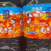 ヒメ日記 2026/07/13 11:45 投稿 すみれ ぽっちゃり巨乳素人専門店ぷにめろ八王子店