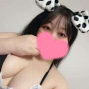 ヒメ日記 2026/09/19 13:31 投稿 すみれ ぽっちゃり巨乳素人専門店ぷにめろ八王子店