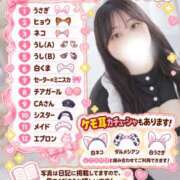 ヒメ日記 2026/10/12 12:08 投稿 すみれ ぽっちゃり巨乳素人専門店ぷにめろ八王子店