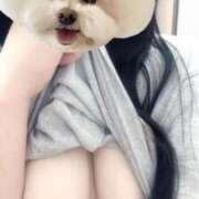 ヒメ日記 2025/12/04 11:15 投稿 ゆず ぽっちゃり巨乳素人専門店ぷにめろ八王子店