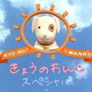 ゆず きょうのわんこ ぽっちゃり巨乳素人専門店ぷにめろ八王子店