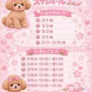 ヒメ日記 2026/03/04 02:32 投稿 ゆず ぽっちゃり巨乳素人専門店ぷにめろ八王子店