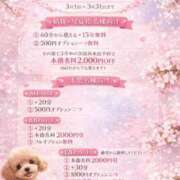 ヒメ日記 2026/03/04 14:00 投稿 ゆず ぽっちゃり巨乳素人専門店ぷにめろ八王子店