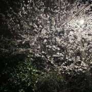 ヒメ日記 2026/03/31 02:16 投稿 ゆず ぽっちゃり巨乳素人専門店ぷにめろ八王子店