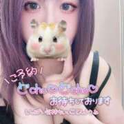 ヒメ日記 2026/08/06 12:05 投稿 ゆず ぽっちゃり巨乳素人専門店ぷにめろ八王子店