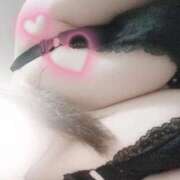 ヒメ日記 2025/11/10 12:36 投稿 こはく ぽっちゃり巨乳素人専門店ぷにめろ八王子店