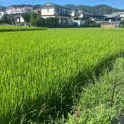 ヒメ日記 2025/12/09 05:42 投稿 まなか ぽっちゃり巨乳素人専門店ぷにめろ八王子店