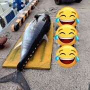 ヒメ日記 2025/12/26 18:31 投稿 まなか ぽっちゃり巨乳素人専門店ぷにめろ八王子店