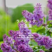 ヒメ日記 2026/01/06 21:08 投稿 まなか ぽっちゃり巨乳素人専門店ぷにめろ八王子店