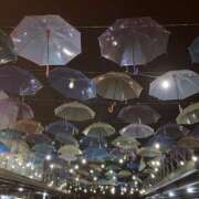 ヒメ日記 2026/01/18 10:03 投稿 まなか ぽっちゃり巨乳素人専門店ぷにめろ八王子店