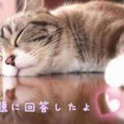 ヒメ日記 2026/04/06 05:03 投稿 まなか ぽっちゃり巨乳素人専門店ぷにめろ八王子店