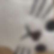 ヒメ日記 2025/11/25 00:00 投稿 ゆい ぽっちゃり巨乳素人専門店ぷにめろ八王子店