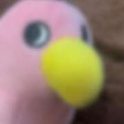 ヒメ日記 2025/12/04 09:00 投稿 ゆい ぽっちゃり巨乳素人専門店ぷにめろ八王子店