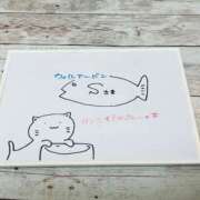 ヒメ日記 2025/12/12 12:41 投稿 ゆい ぽっちゃり巨乳素人専門店ぷにめろ八王子店