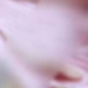 ヒメ日記 2025/12/18 20:00 投稿 ゆい ぽっちゃり巨乳素人専門店ぷにめろ八王子店