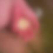 ヒメ日記 2026/02/12 12:45 投稿 ゆい ぽっちゃり巨乳素人専門店ぷにめろ八王子店