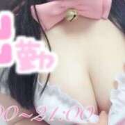 ヒメ日記 2026/02/12 14:00 投稿 ゆい ぽっちゃり巨乳素人専門店ぷにめろ八王子店