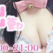 ヒメ日記 2026/02/18 14:00 投稿 ゆい ぽっちゃり巨乳素人専門店ぷにめろ八王子店