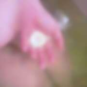 ヒメ日記 2026/03/20 12:45 投稿 ゆい ぽっちゃり巨乳素人専門店ぷにめろ八王子店