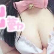 ヒメ日記 2026/03/30 17:06 投稿 ゆい ぽっちゃり巨乳素人専門店ぷにめろ八王子店