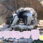 ヒメ日記 2026/04/28 23:45 投稿 ゆい ぽっちゃり巨乳素人専門店ぷにめろ八王子店