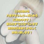 ヒメ日記 2025/11/01 00:11 投稿 ここな ぽっちゃり巨乳素人専門店ぷにめろ八王子店