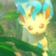 ヒメ日記 2025/11/21 19:31 投稿 ここな ぽっちゃり巨乳素人専門店ぷにめろ八王子店