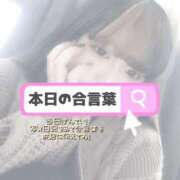 ヒメ日記 2025/12/14 10:01 投稿 ここな ぽっちゃり巨乳素人専門店ぷにめろ八王子店