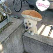 ヒメ日記 2025/12/26 20:00 投稿 ここな ぽっちゃり巨乳素人専門店ぷにめろ八王子店