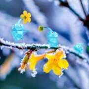 ヒメ日記 2025/12/27 09:30 投稿 ここな ぽっちゃり巨乳素人専門店ぷにめろ八王子店