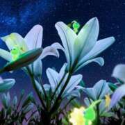 ヒメ日記 2025/12/29 00:26 投稿 ここな ぽっちゃり巨乳素人専門店ぷにめろ八王子店