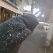 ヒメ日記 2026/01/02 19:39 投稿 ここな ぽっちゃり巨乳素人専門店ぷにめろ八王子店