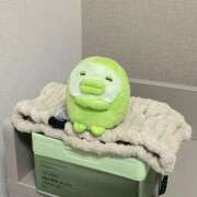 ヒメ日記 2026/01/27 09:45 投稿 ここな ぽっちゃり巨乳素人専門店ぷにめろ八王子店