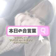 ヒメ日記 2026/01/31 13:59 投稿 ここな ぽっちゃり巨乳素人専門店ぷにめろ八王子店