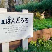 ヒメ日記 2026/02/07 01:03 投稿 ここな ぽっちゃり巨乳素人専門店ぷにめろ八王子店