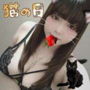 ヒメ日記 2026/02/22 12:32 投稿 ここな ぽっちゃり巨乳素人専門店ぷにめろ八王子店