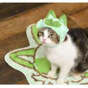 ヒメ日記 2026/02/22 22:31 投稿 ここな ぽっちゃり巨乳素人専門店ぷにめろ八王子店