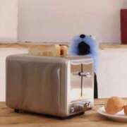 ヒメ日記 2026/02/23 09:02 投稿 ここな ぽっちゃり巨乳素人専門店ぷにめろ八王子店