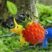 ヒメ日記 2026/03/12 13:18 投稿 ここな ぽっちゃり巨乳素人専門店ぷにめろ八王子店