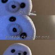 ヒメ日記 2026/03/14 01:00 投稿 ここな ぽっちゃり巨乳素人専門店ぷにめろ八王子店