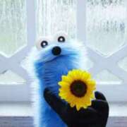 ヒメ日記 2026/03/16 09:02 投稿 ここな ぽっちゃり巨乳素人専門店ぷにめろ八王子店