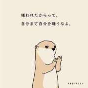 ヒメ日記 2026/03/17 01:15 投稿 ここな ぽっちゃり巨乳素人専門店ぷにめろ八王子店