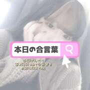 ヒメ日記 2026/03/17 14:01 投稿 ここな ぽっちゃり巨乳素人専門店ぷにめろ八王子店