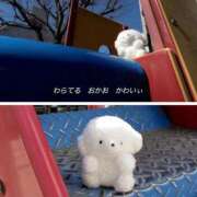 ヒメ日記 2026/03/17 16:15 投稿 ここな ぽっちゃり巨乳素人専門店ぷにめろ八王子店