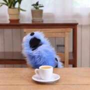 ヒメ日記 2026/03/26 11:45 投稿 ここな ぽっちゃり巨乳素人専門店ぷにめろ八王子店